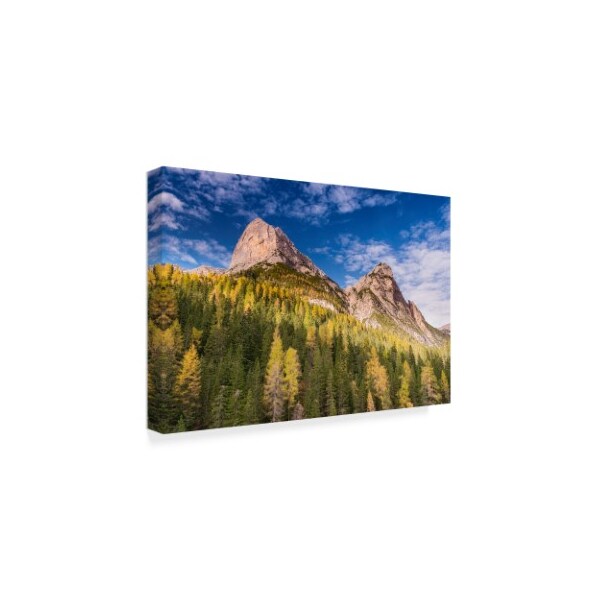 Michael Blanchette Photography 'Larch On A Slope' Canvas Art,30x47